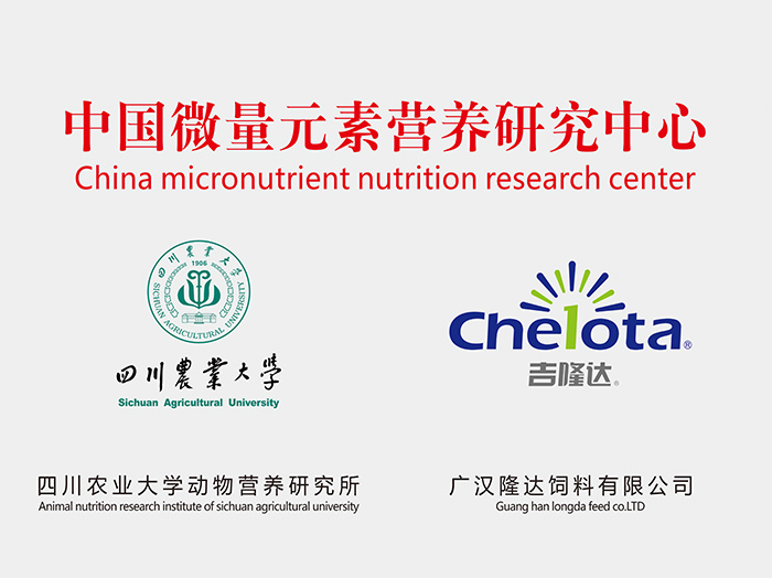 pp����ģ��������