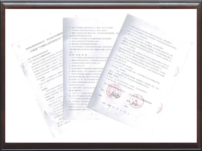 pp����ģ��������