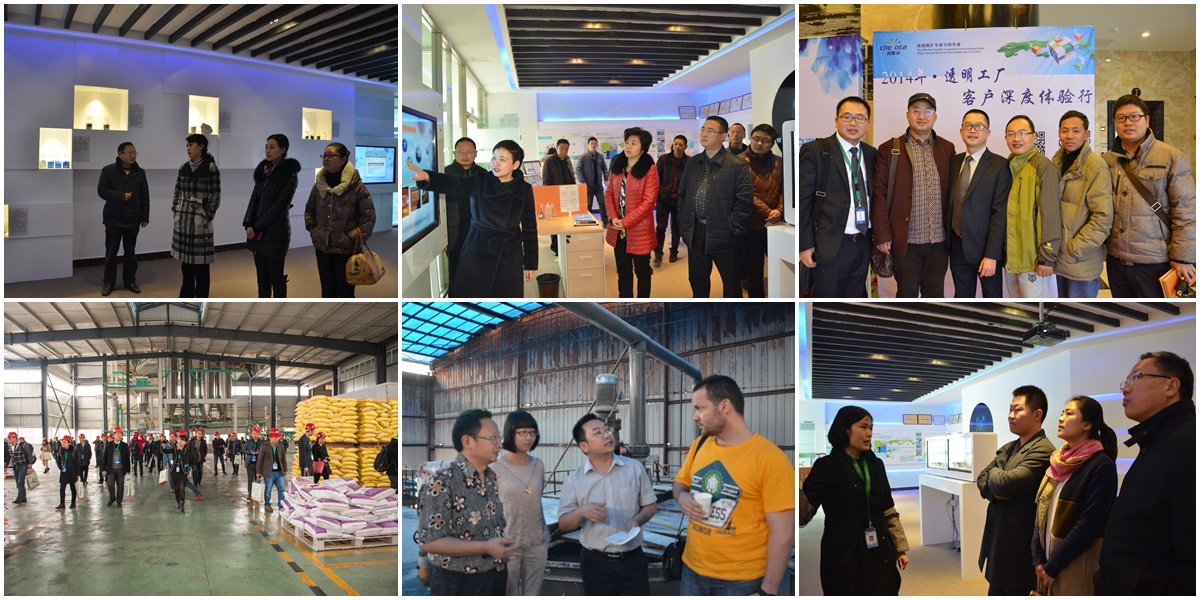 pp����ģ��������