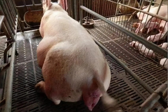 ĸ�����̹���������