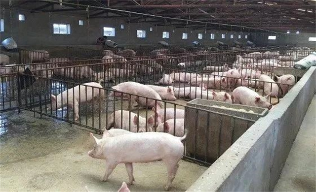 �������Ӽ�