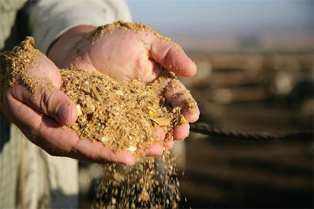 ��ֳҵ�г�����