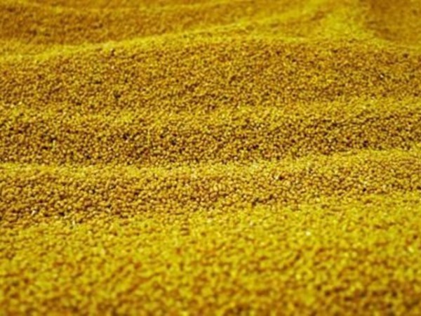 �������Ӽ�