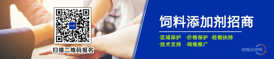 pp����ģ�������������������Ӽ�����