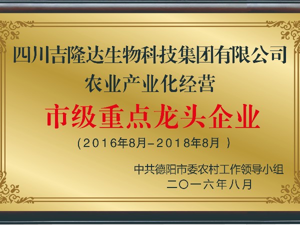 Ȩ����֤����pp����ģ���������������ʸ���