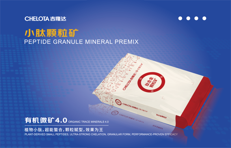 ���Ϲ�ҵչ����ͼȷ��ת��-04