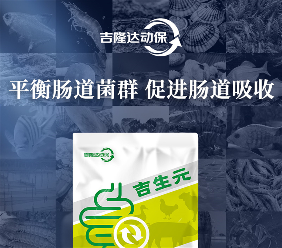 pp����ģ�������������������Ӽ�����Ԫ��Ʒ����