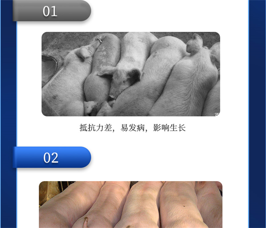 pp����ģ�������������������Ӽ�����Ԫ��Ʒ����