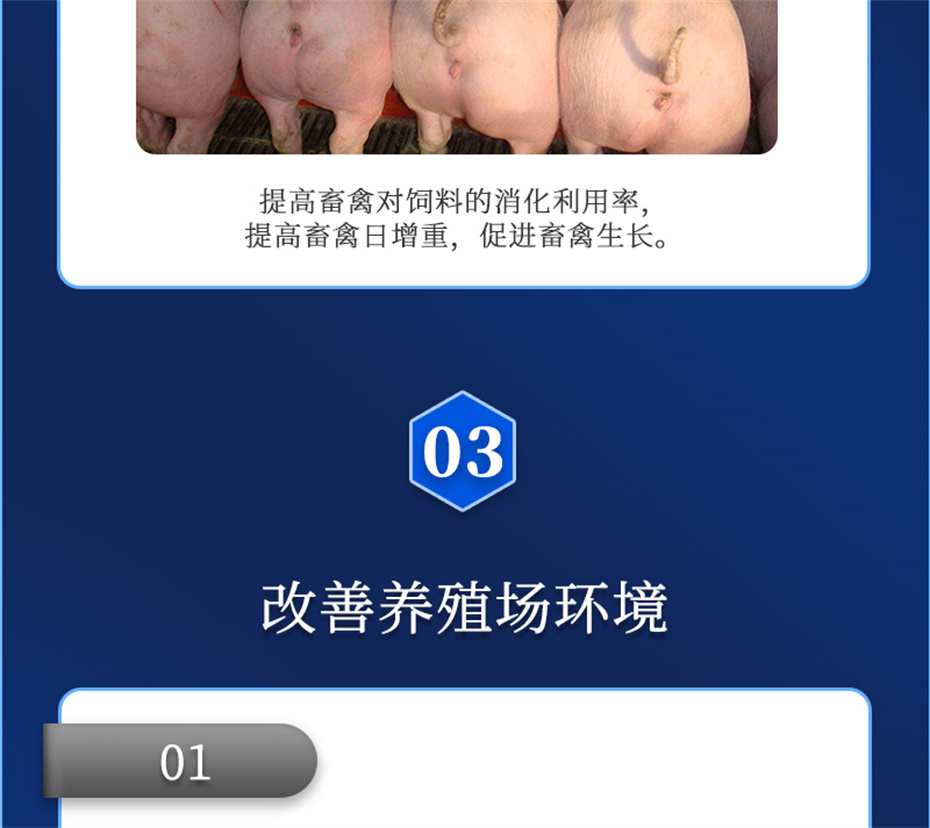 pp����ģ�������������������Ӽ�����Ԫ��Ʒ����