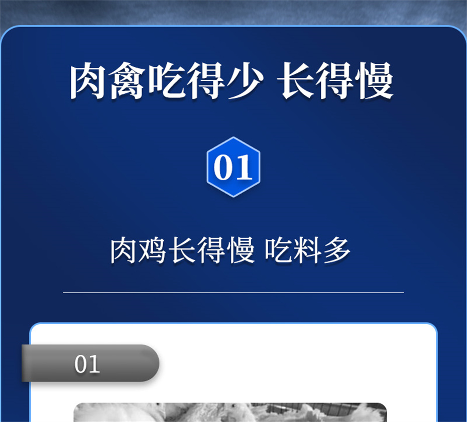 pp����ģ���������������������Ӽ������ز�Ʒ����