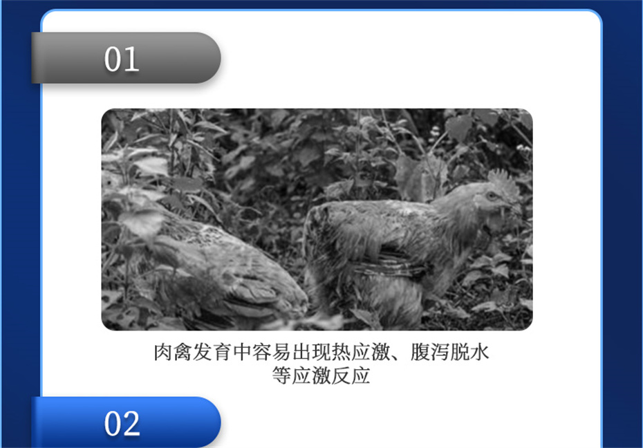 pp����ģ���������������������Ӽ������ز�Ʒ����