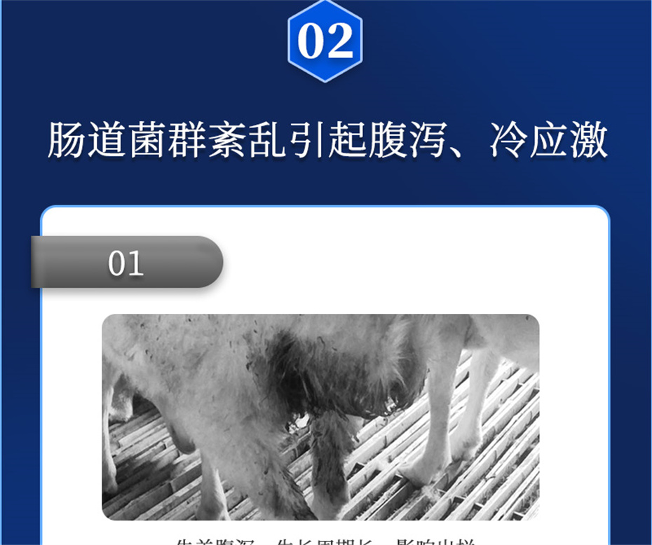 pp����ģ������������ţ���������Ӽ�θ��plus��Ʒ����