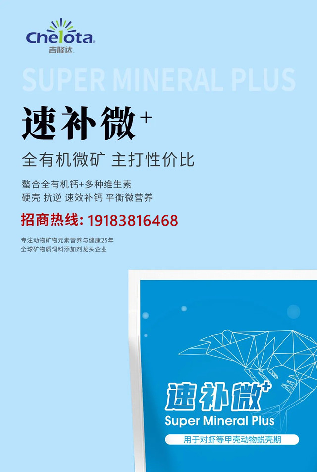 �л�΢������pp����ģ��������ˮ����������