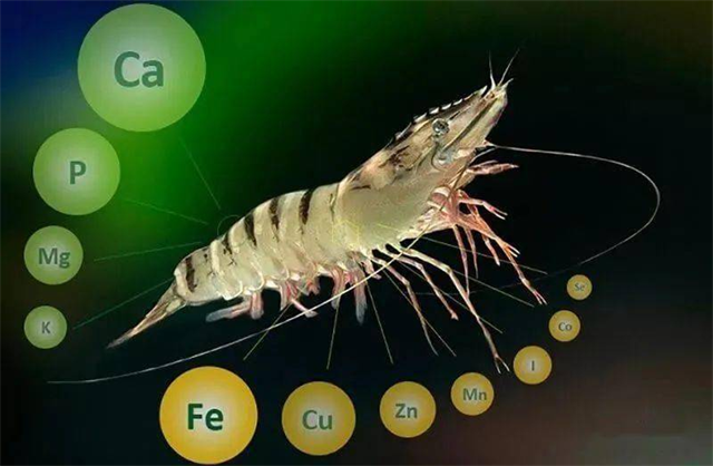 ��Ϻ����