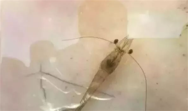 ��Ϻ����