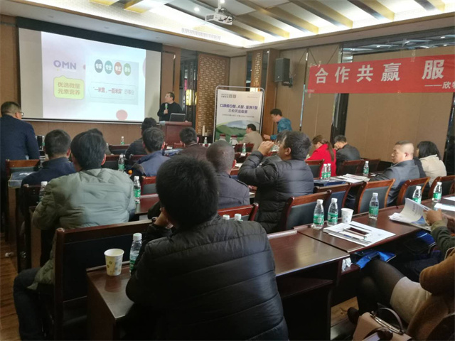 pp����ģ������������Ѫ���������Ӽ���Ч�ֳ�����ͼƬ