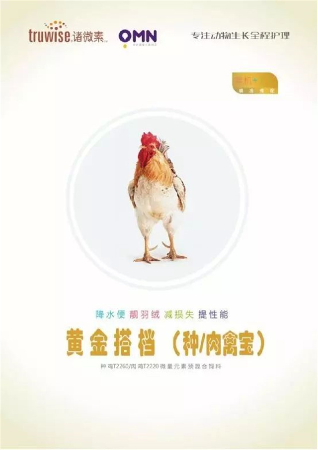 pp����ģ���������������Ӽ�