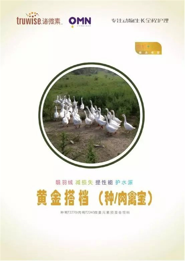 pp����ģ���������������Ӽ�