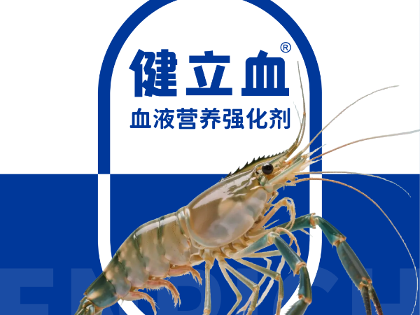 ��ϺҪ��Ѫ��͵��Ӧ�����߲���ԭ������Ϊ����