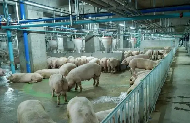 2022��12��ũ����ҵ��̬