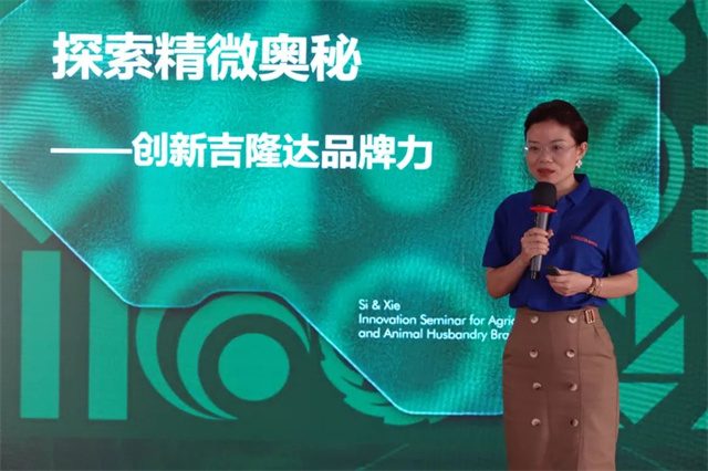 ˼��Ʒ����ѯ��ʼ�˽���