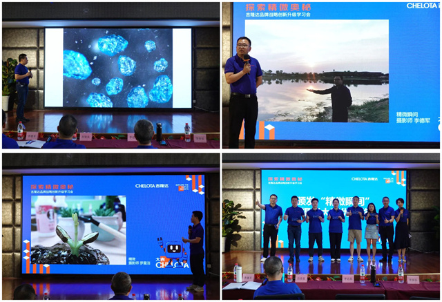 pp����ģ��������Ʒ���������Ӱ����