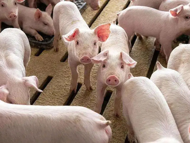 �������Ӽ�Ԥ��������ԭ��