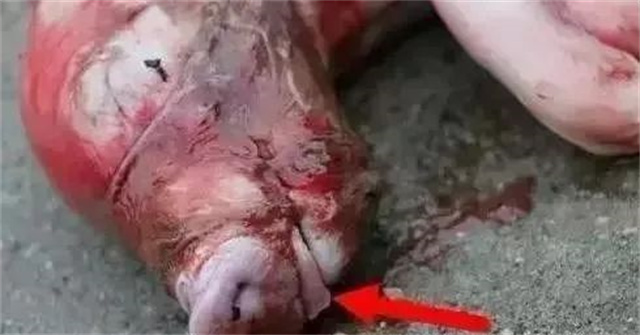 �ж�ĸ���Ƿ�����3������ĸ���ӹ���λ