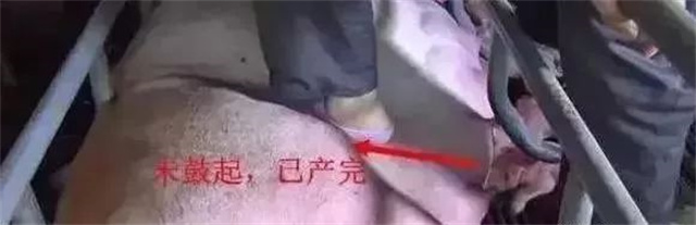 �ж�ĸ���Ƿ�����3������ĸ���ӹ���λ