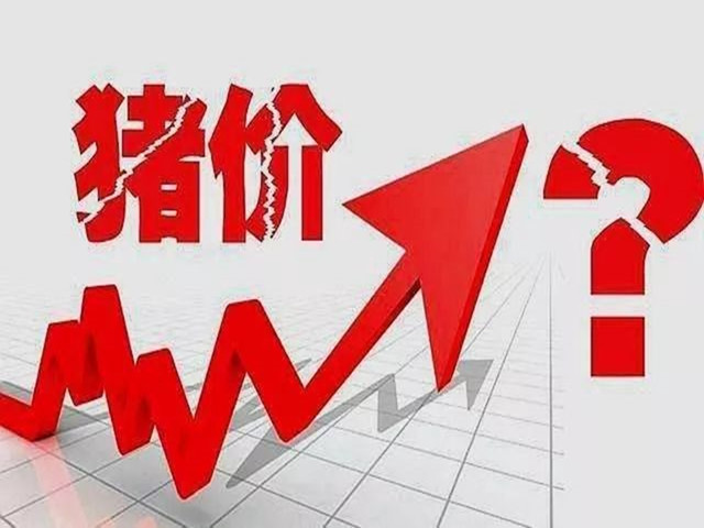 pp����ģ��������