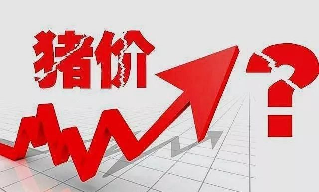 pp����ģ��������