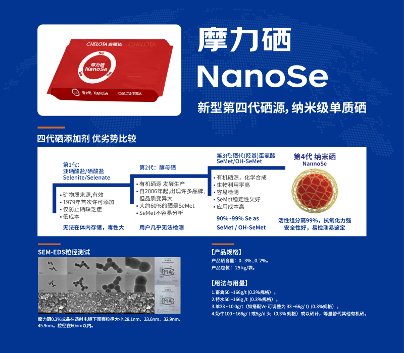 20260203̫����-02