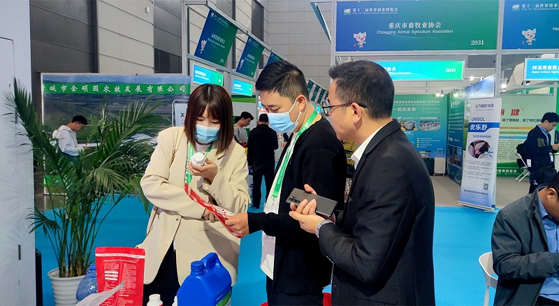 �������pp����ģ������������չ̨