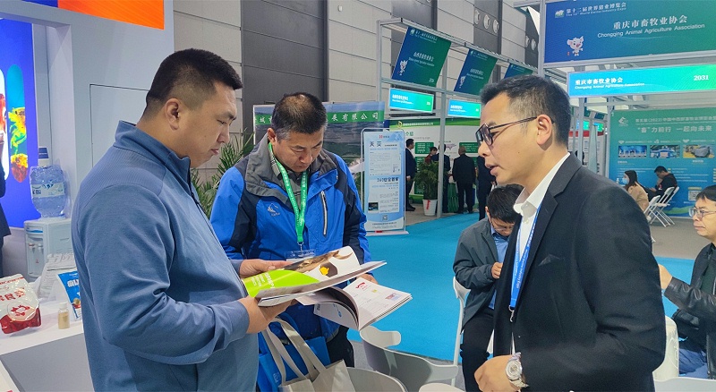 �������pp����ģ������������չ̨