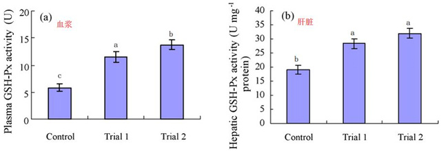 �������Ӽ�