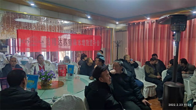 pp����ģ������������������Ч������