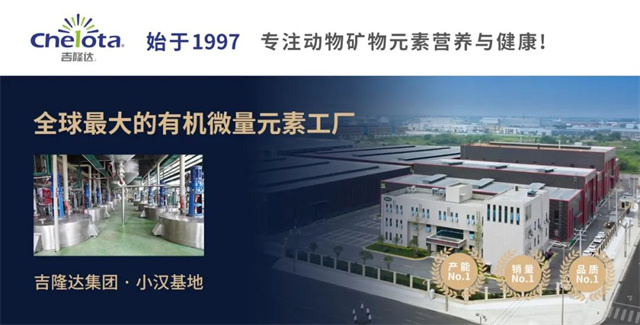 �л�΢��Ԫ�س���pp����ģ��������