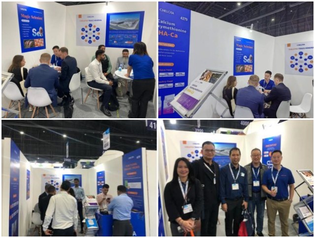 ���޹��ʼ�Լ������չ����