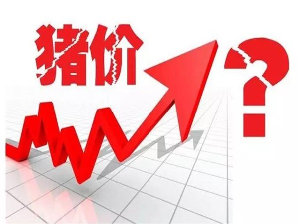 ��������ת����