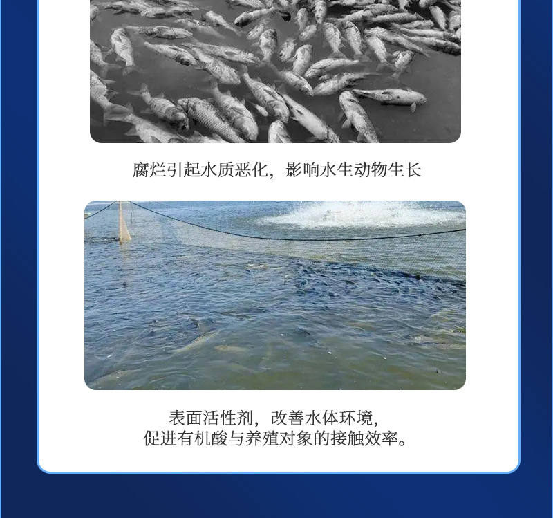 ���360����_03