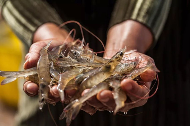 ��Ϻ͵����ô��