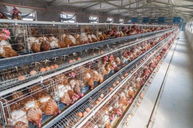 ������Ӧ��Ԥ����ʩ