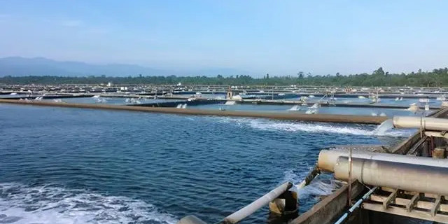 ��Ϻ�����ɿǷ��յ�